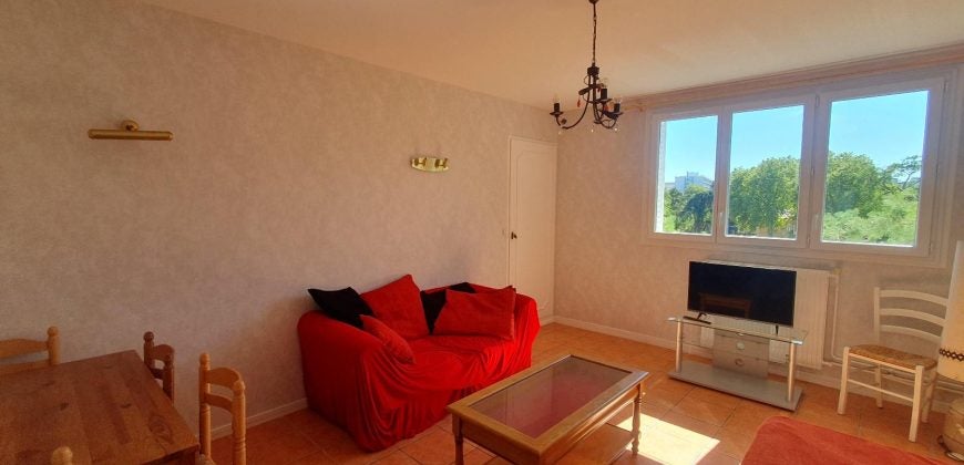 Appartement Cours Emile Zola à Villeurbanne