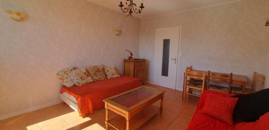 Appartement Cours Emile Zola à Villeurbanne