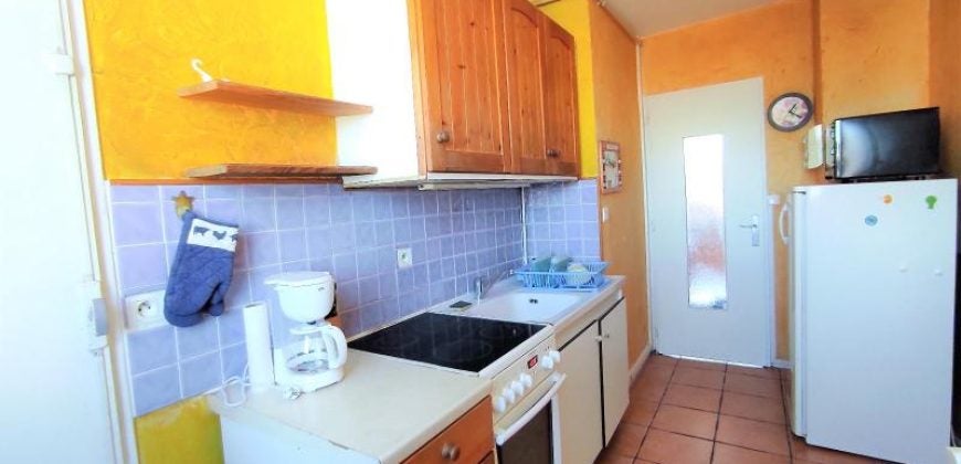 Appartement Cours Emile Zola à Villeurbanne