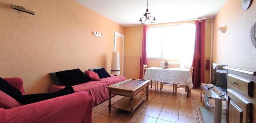 Appartement Cours Emile Zola à Villeurbanne