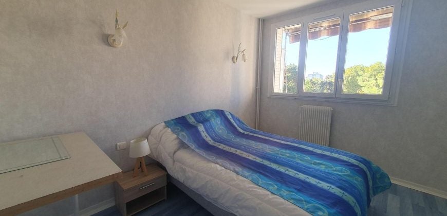 Appartement Cours Emile Zola à Villeurbanne