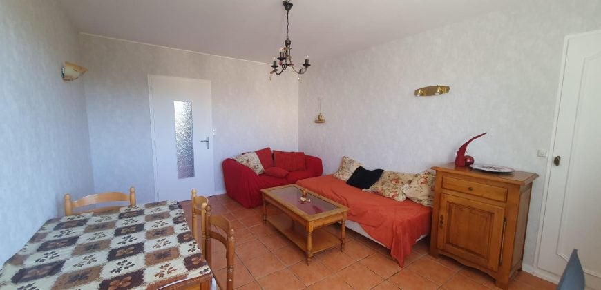 Appartement Cours Emile Zola à Villeurbanne
