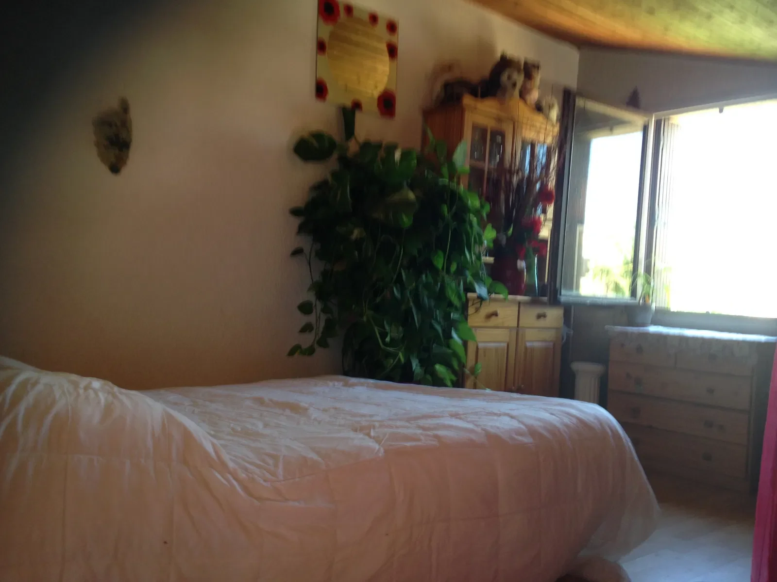 Maison Rue du Galion à Marseillan