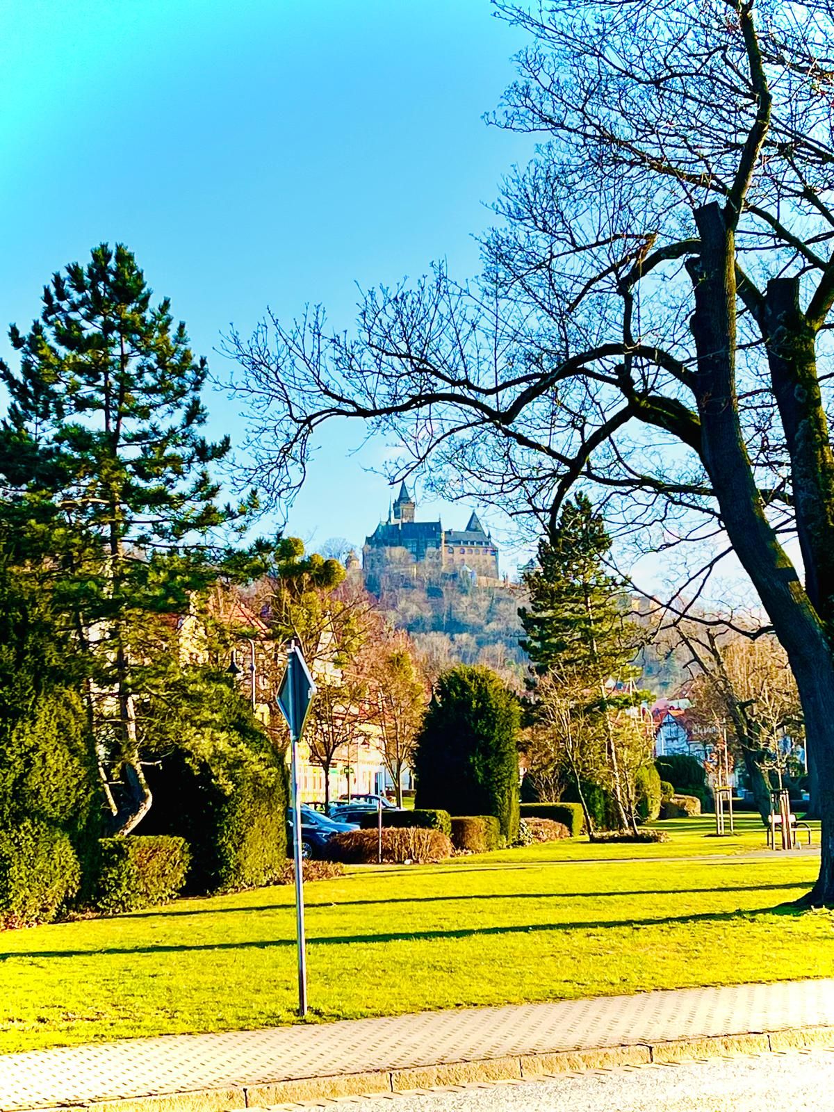 Wohnung Kleine Ziegelstraße in Wernigerode