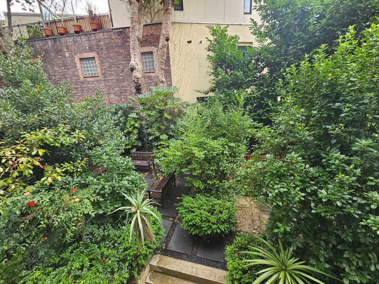 Room Cartwright Gardens in Greater London