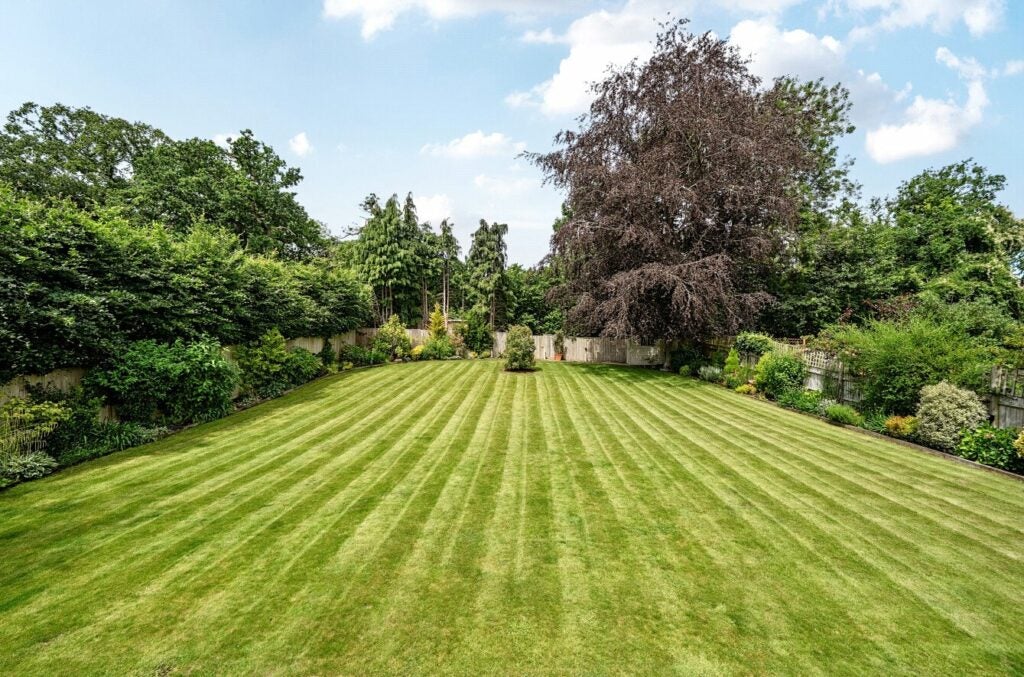 House Heather Lane in Basingstoke and Deane