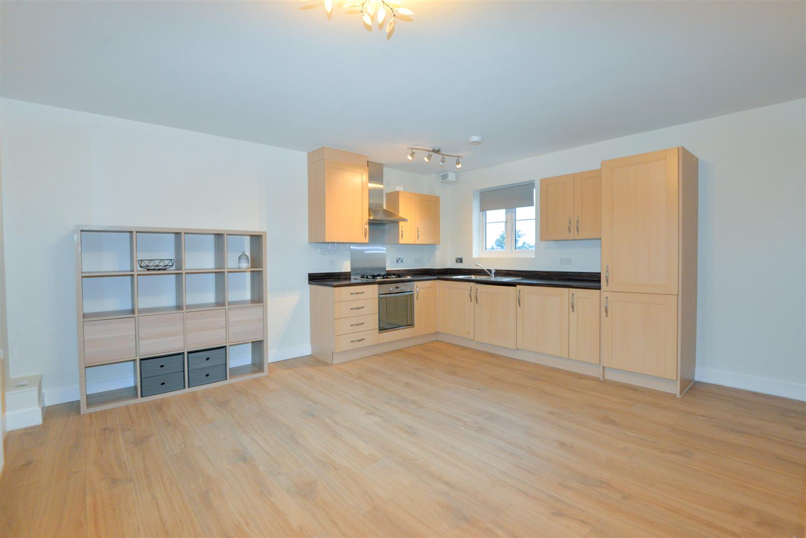 Flat Larkspur Road in North Petherton