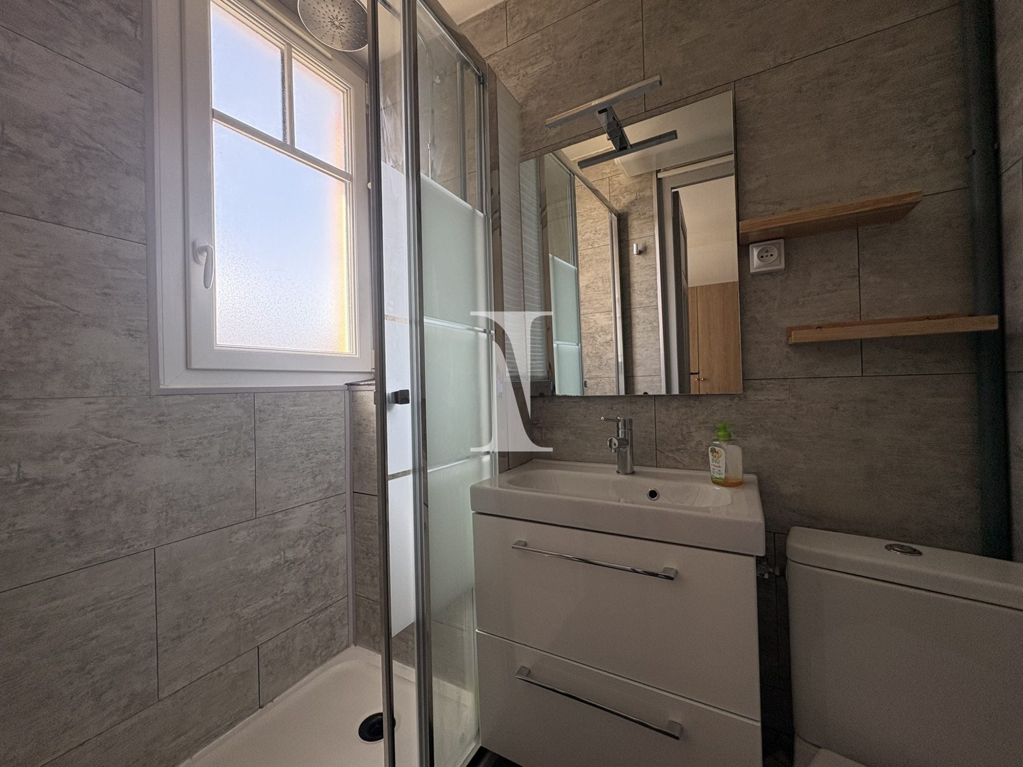 Flat Rue Brancion in Paris