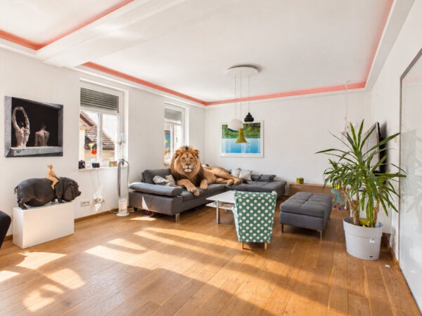 Wohnung Heidelberger Straße in Darmstadt