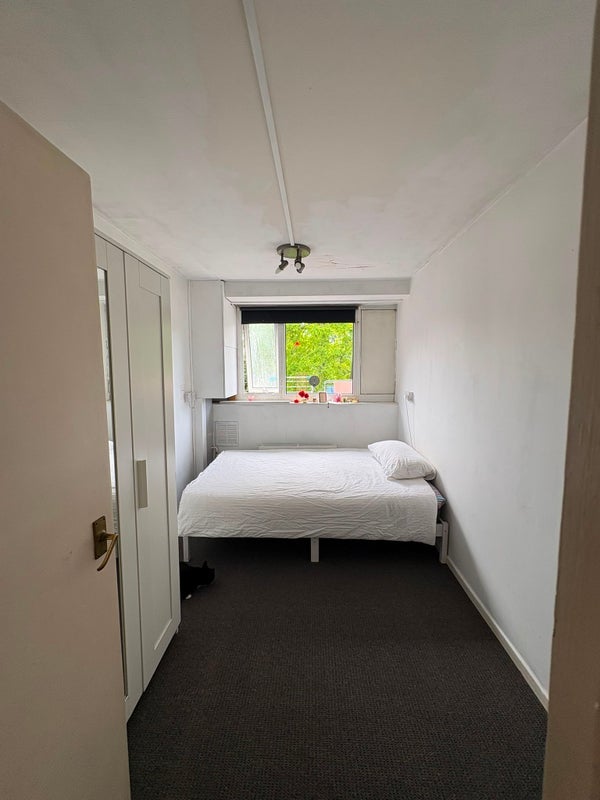 Room Shuttleworth Road in Greater London