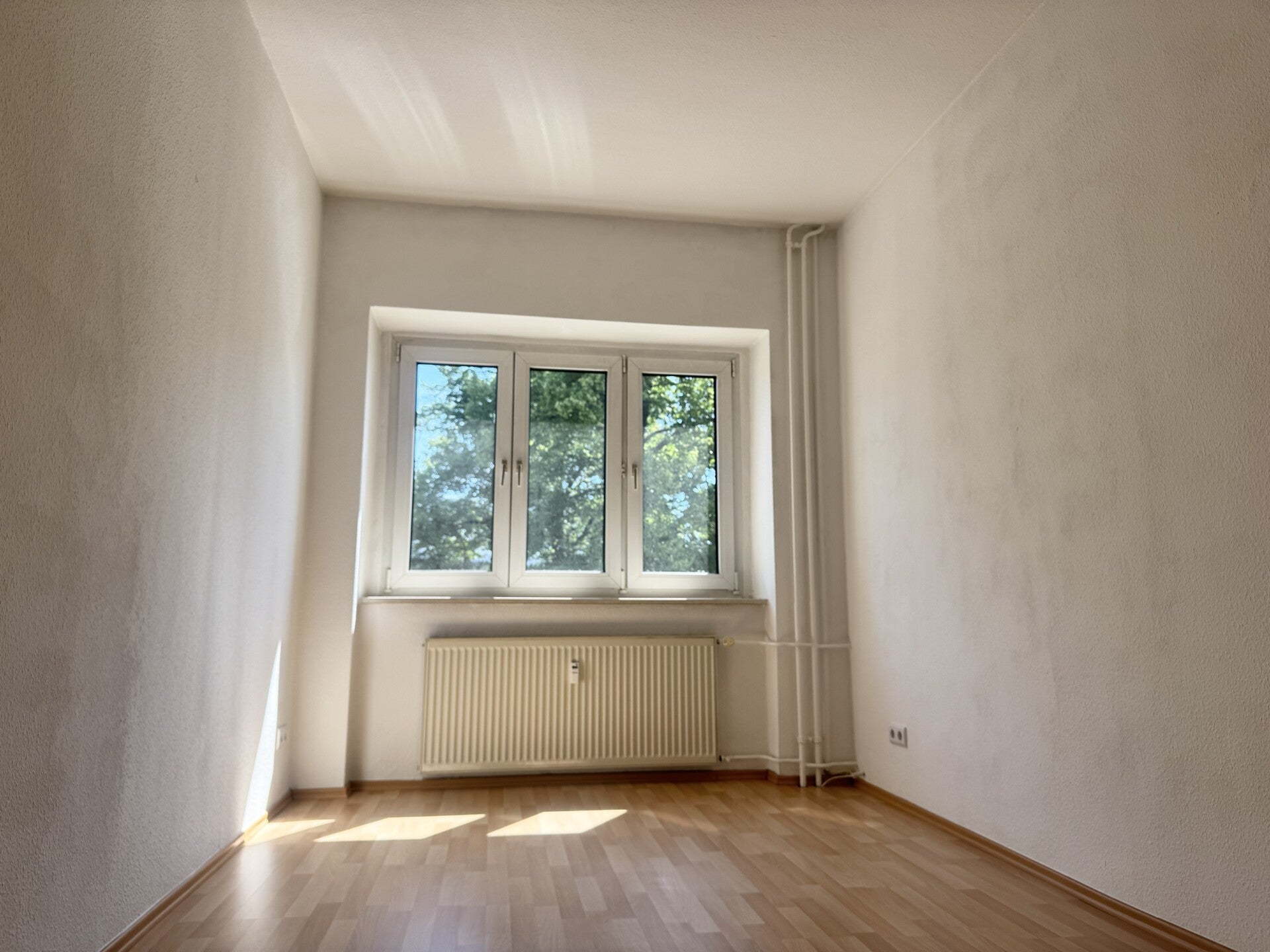 Wohnung Tharandter Straße in Dresden
