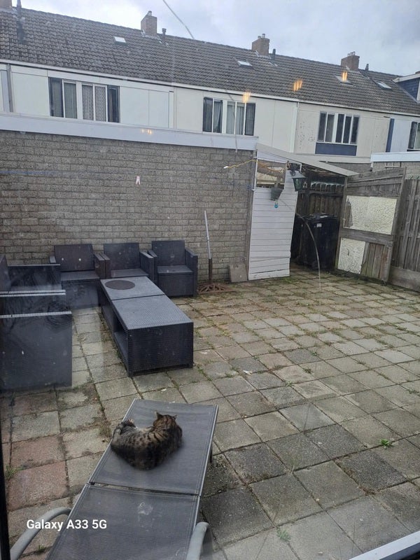 Appartement IJsvogel in Dokkum