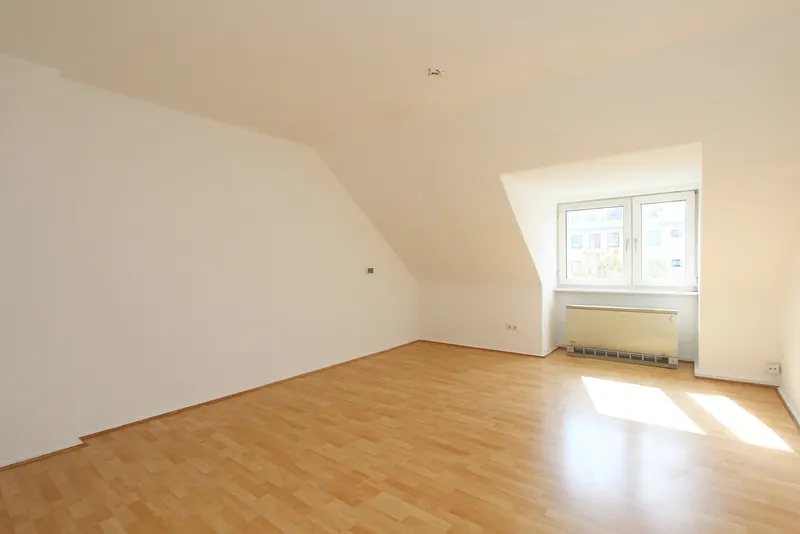 Wohnung Wilhelmshöher Allee in Kassel