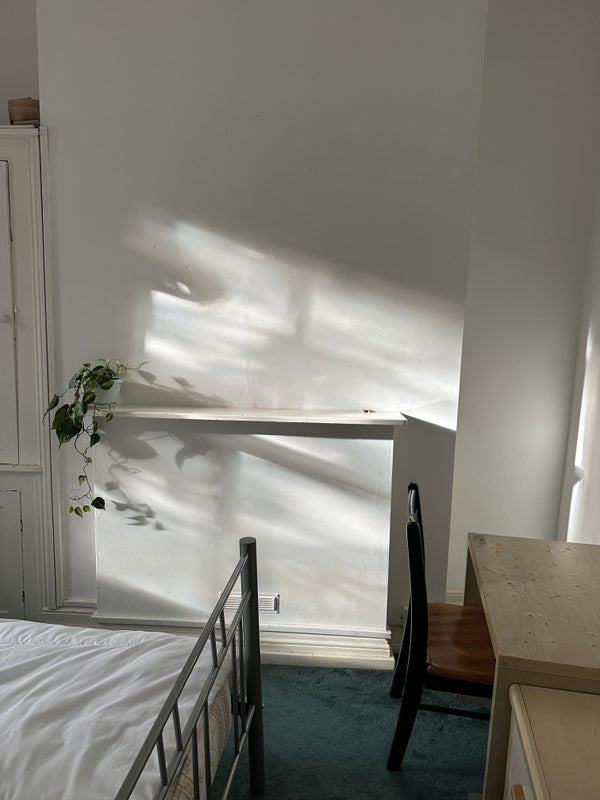 Room Marchmont Street in Greater London