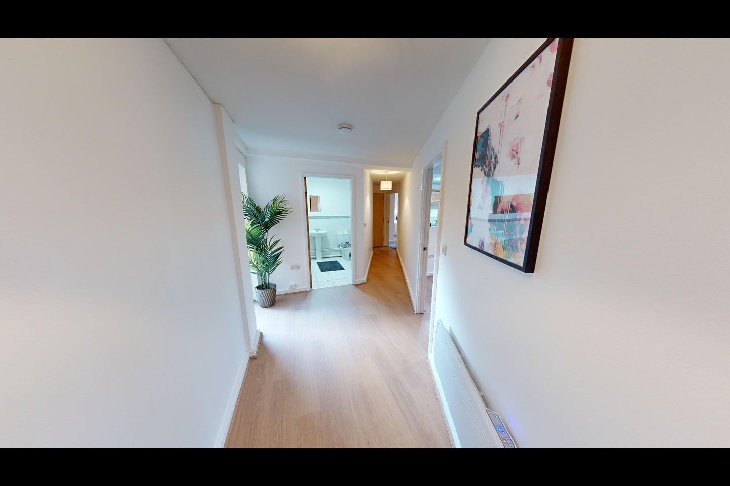Flat Back Colquitt Street in Liverpool