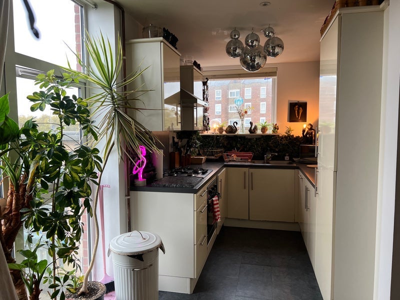 Room Lansdowne Drive in Greater London