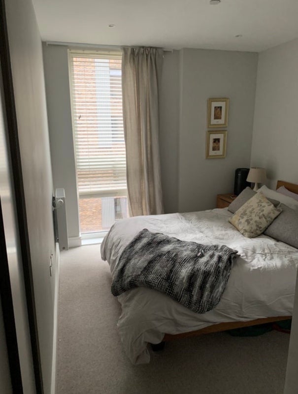 Room Greyhound Parade in Greater London