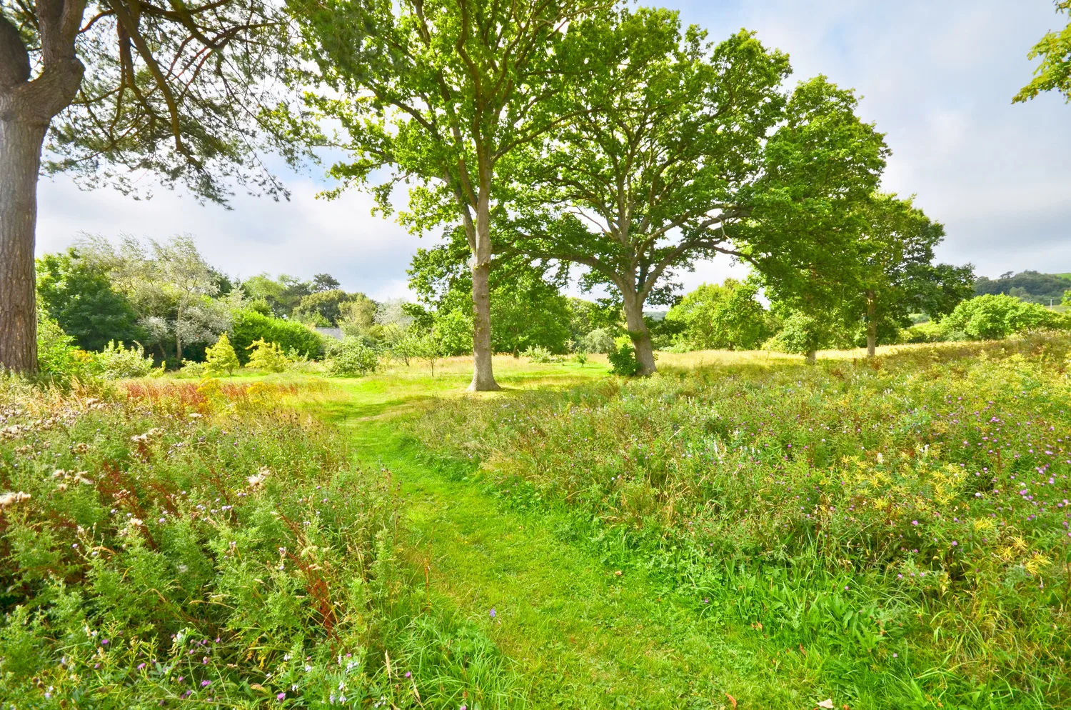 Flat Whitecroft Park in Blackwater