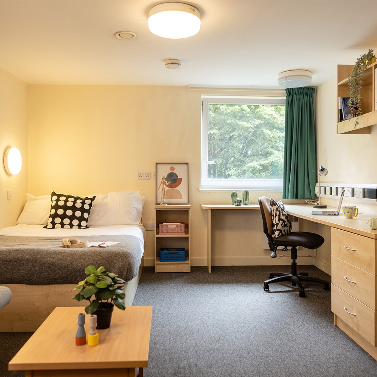 Room Carlton Road in Nottingham