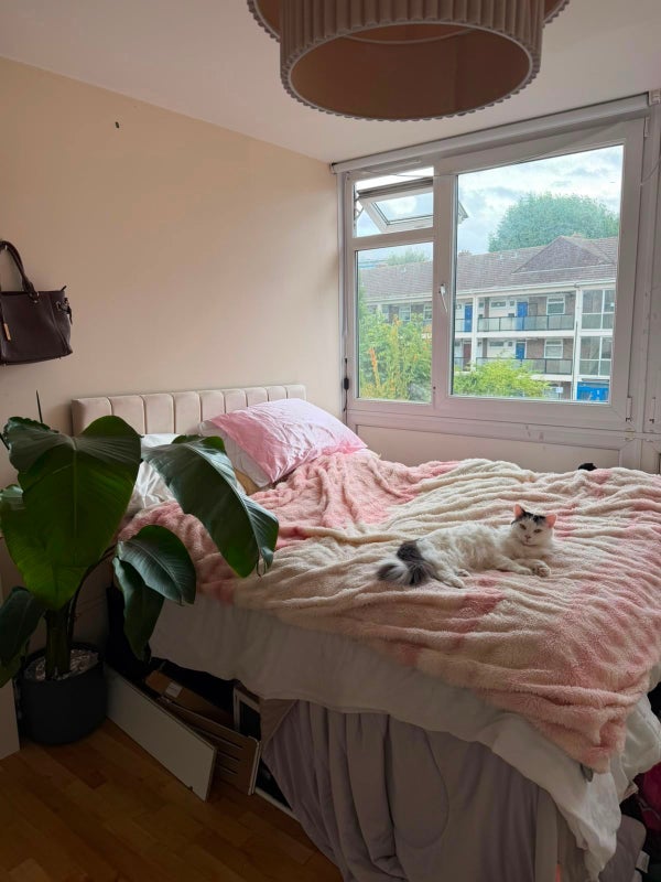 Flat Oriel Road in Greater London