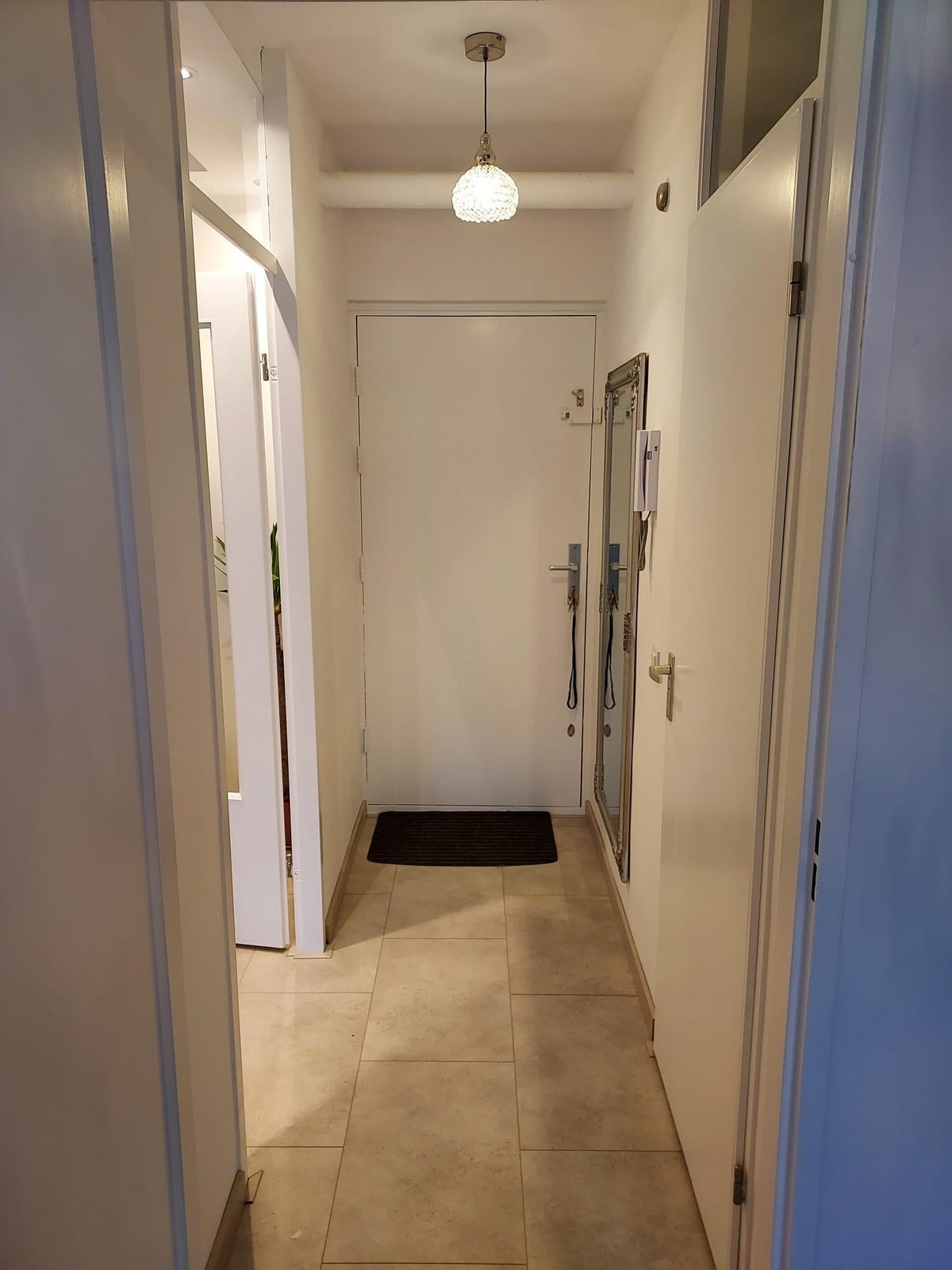 Appartement Papegaaistraat 9