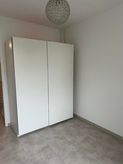 Appartement Papegaaistraat 4