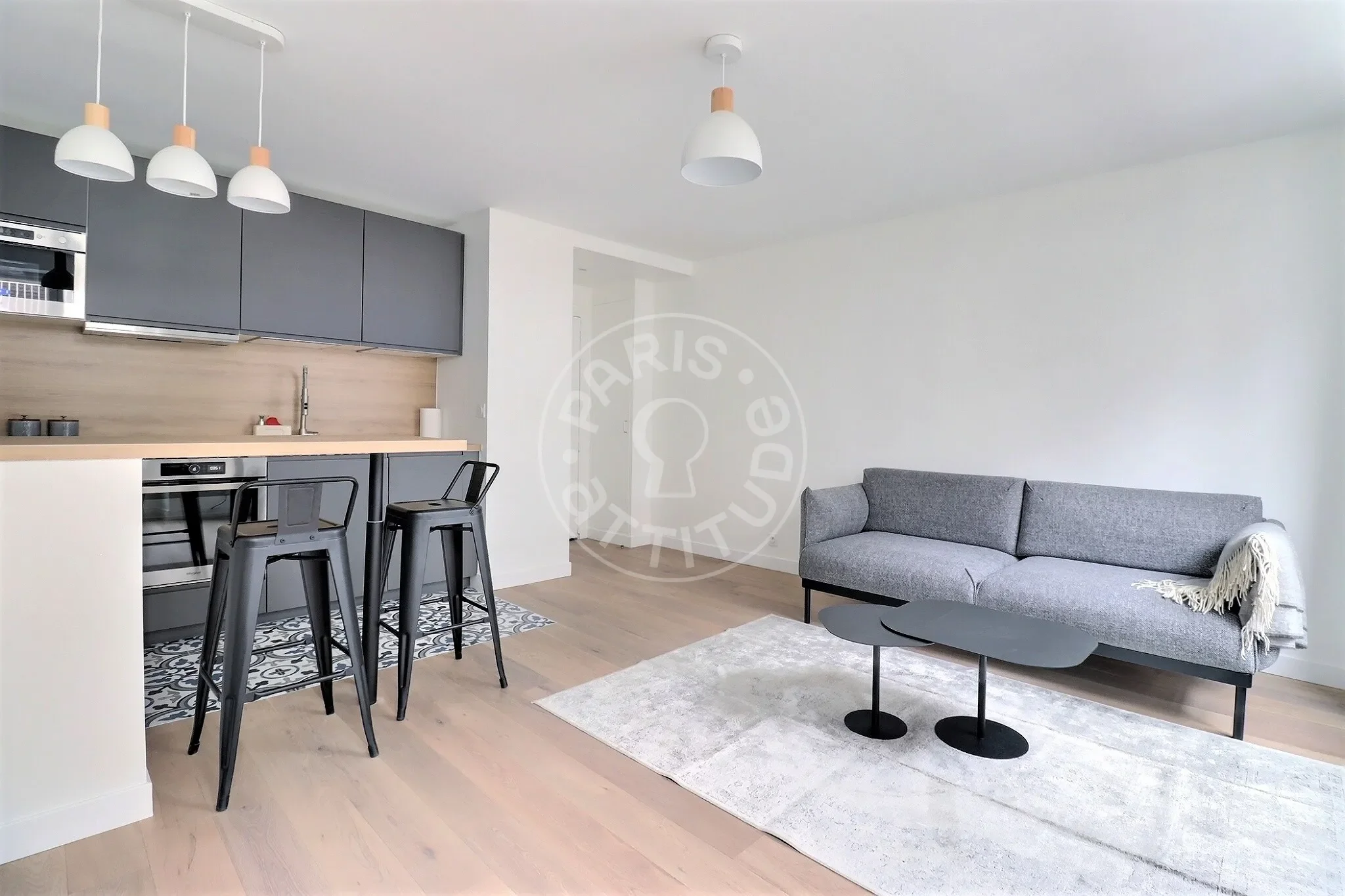 Flat Rue Mayet in Paris