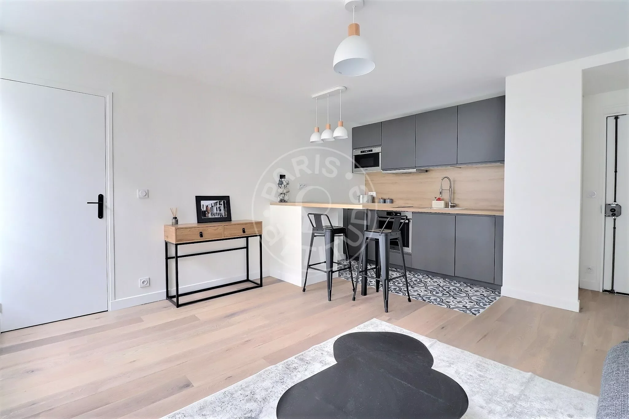Flat Rue Mayet in Paris