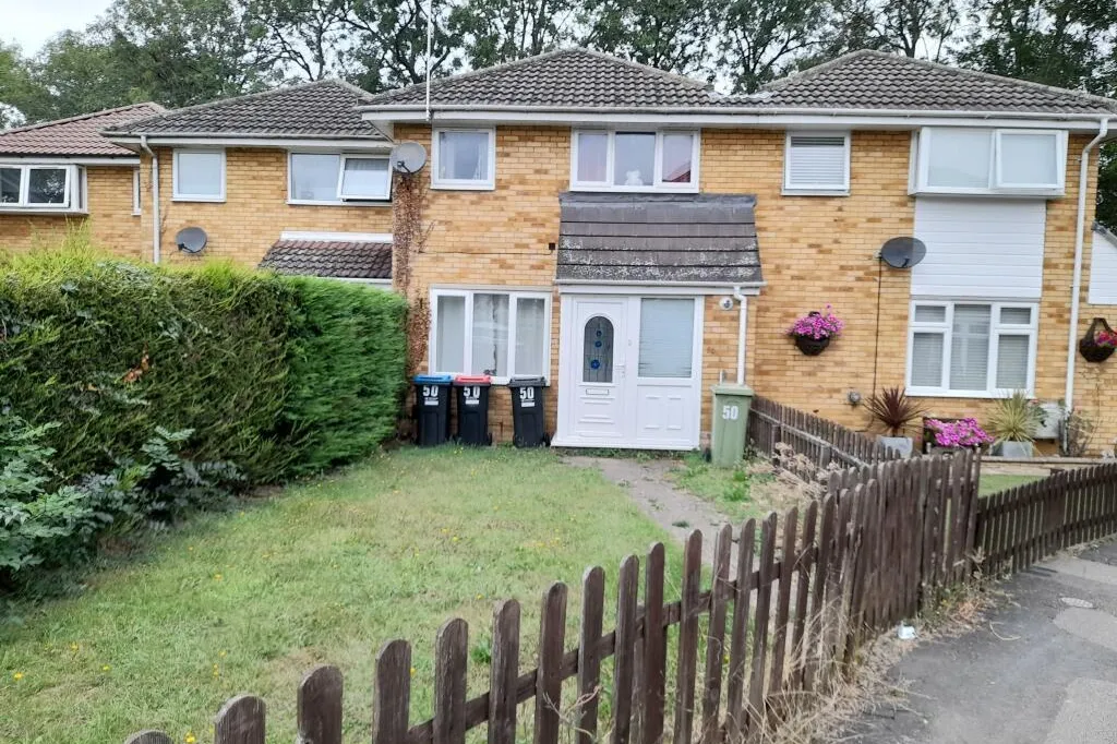 House Hornbeam in Newport Pagnell