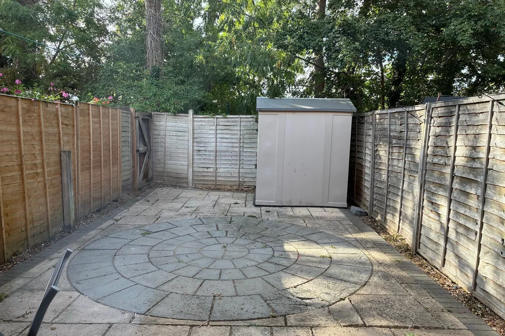 House Hornbeam in Newport Pagnell
