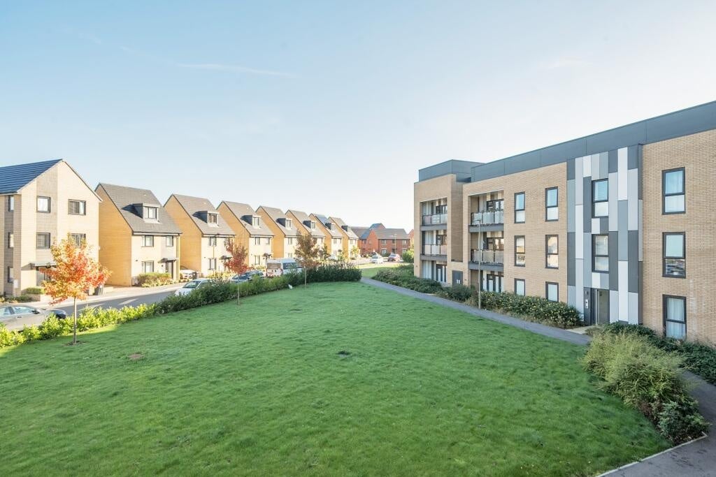 Flat Brocade Road in Test Valley
