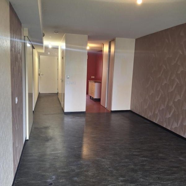 Flat Rue Lazare Carnot in Grenoble