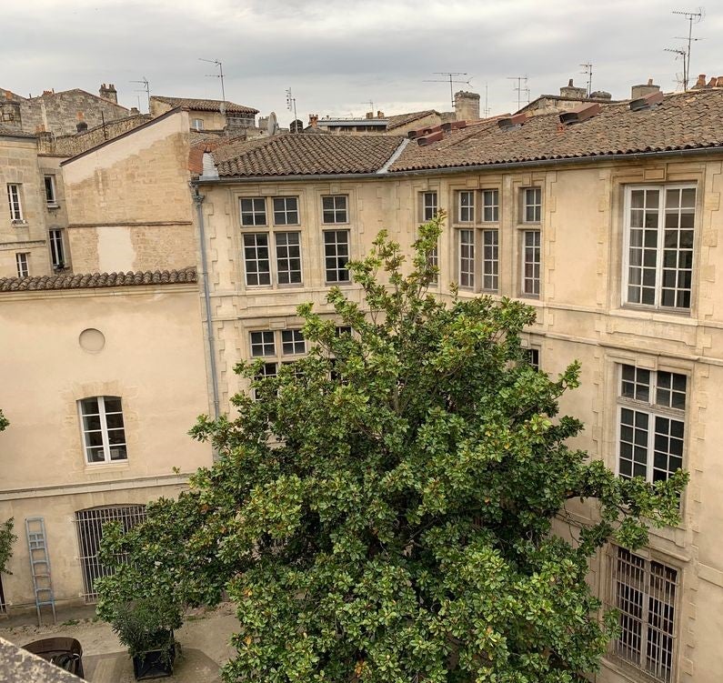 Appartement Rue des Treilles à Libourne