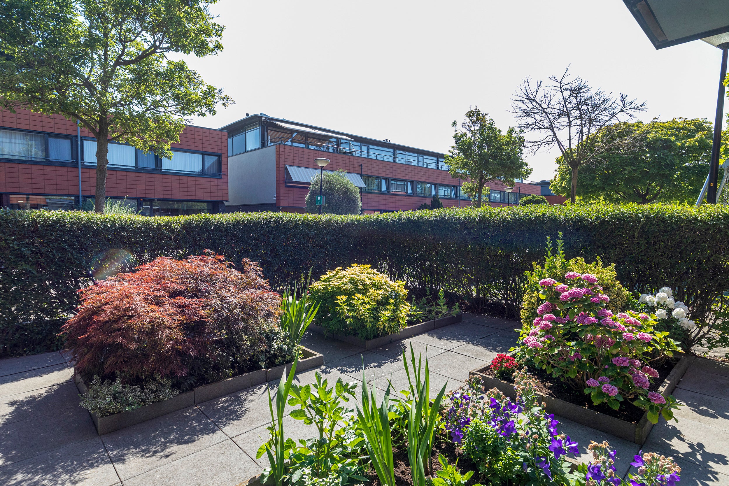 Hoekwoning te koop: Singravenstraat 17, 'S-Gravenhage