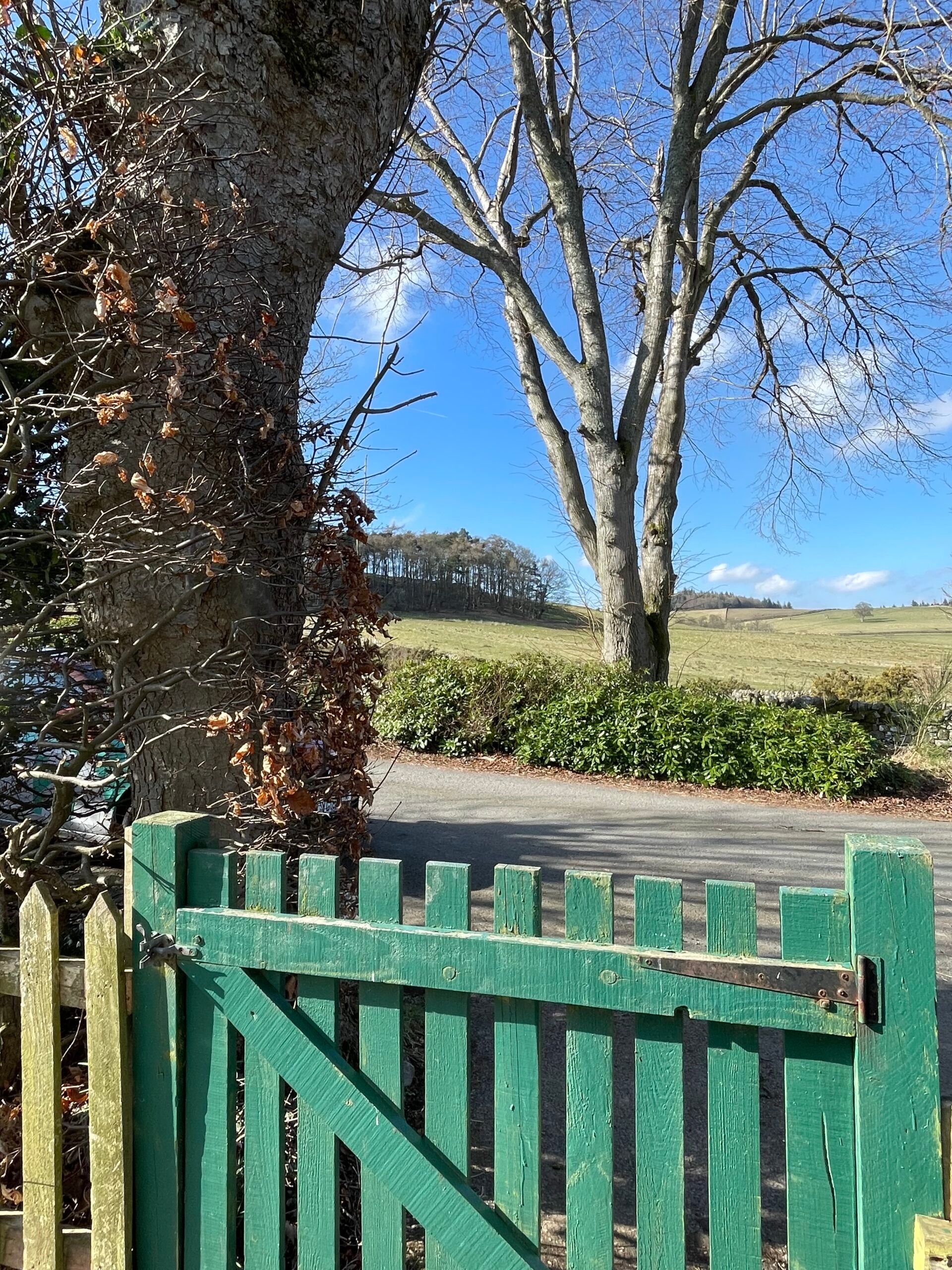 House Edderston Road in Peebles