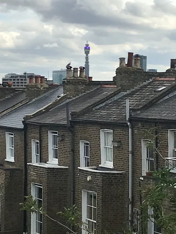 Flat Camden Park Road in Greater London