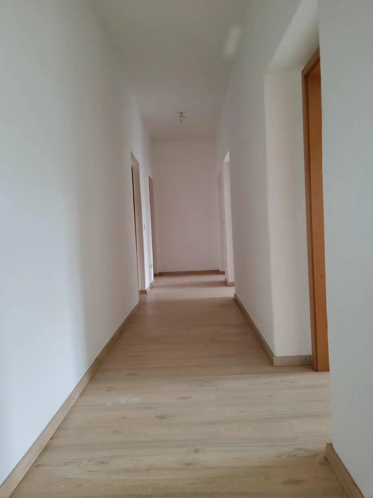 Wohnung Berliner Straße in Dresden