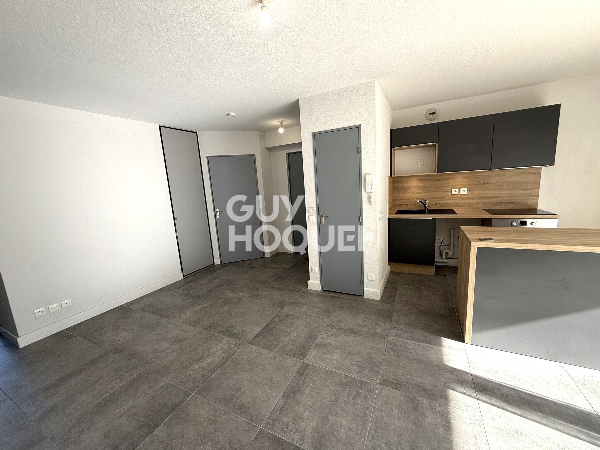 Appartement Rue Carmagnole Liberté à Échirolles