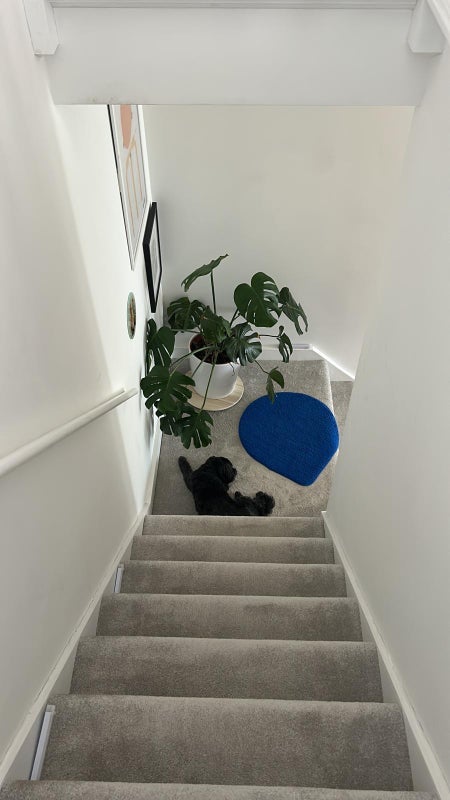 Room Stanstead Road in Greater London