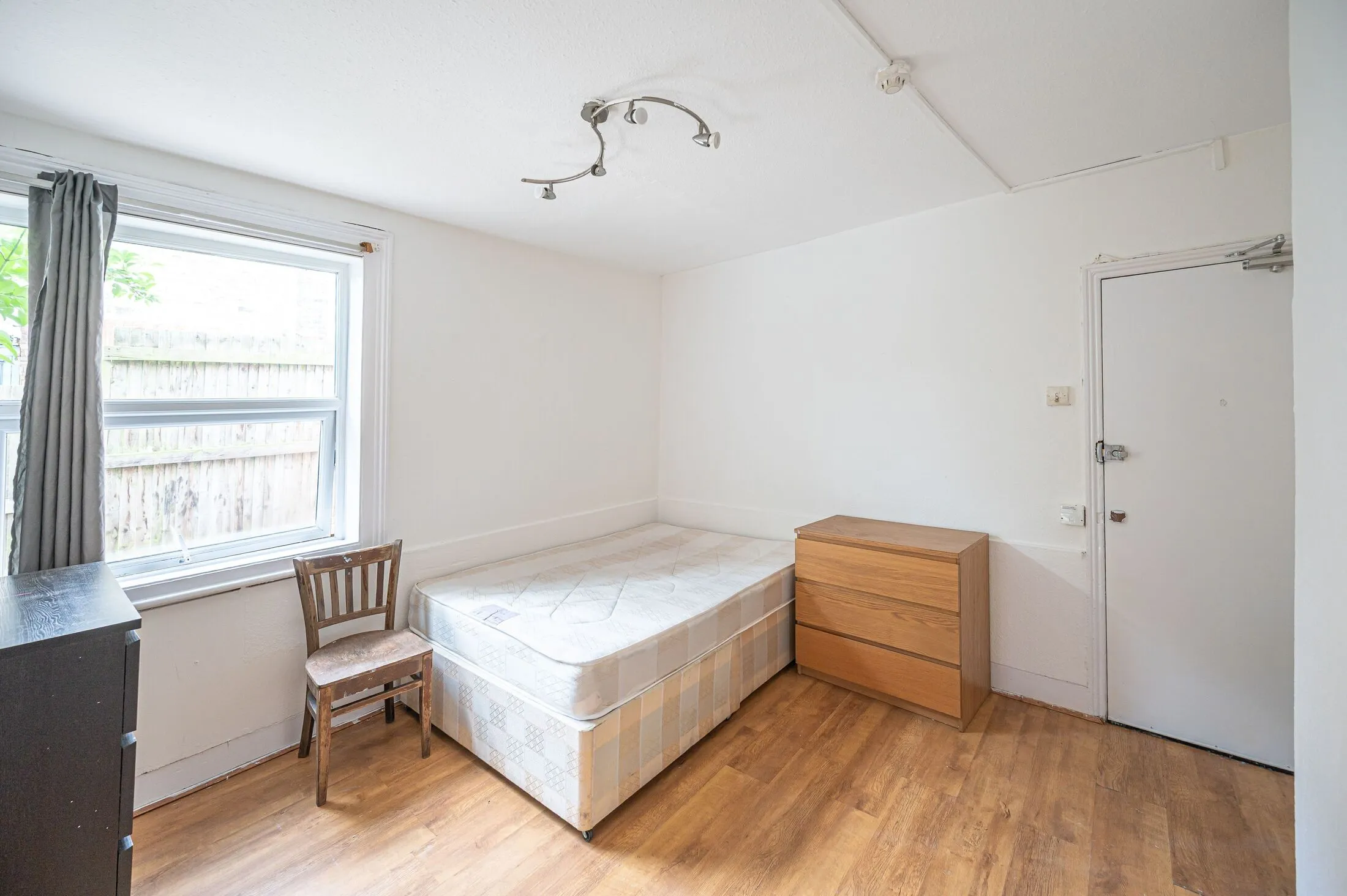 Flat Fig Tree Close in Greater London