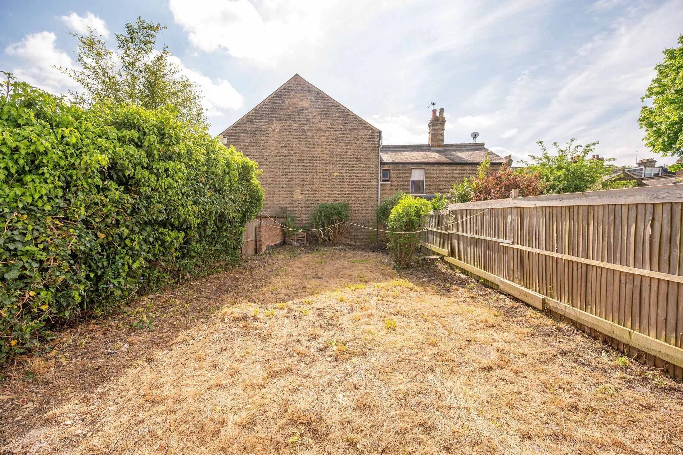Flat Fig Tree Close in Greater London