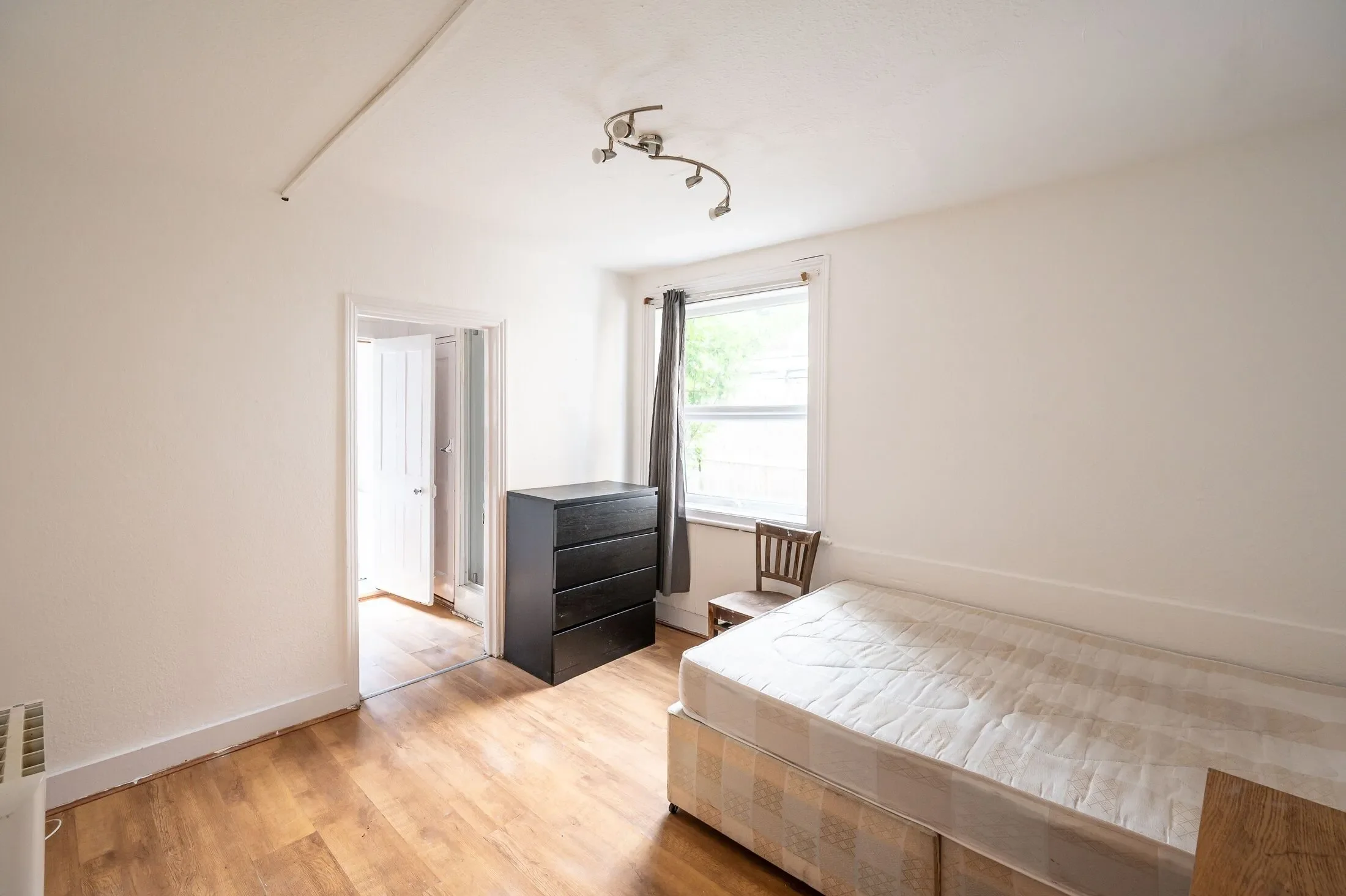 Flat Fig Tree Close in Greater London