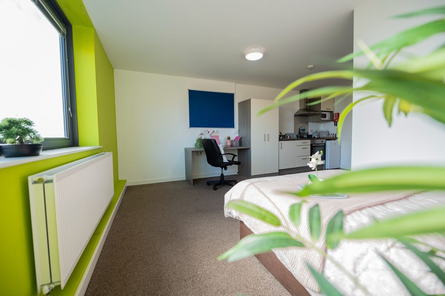 Room Corporation Road in Middlesbrough