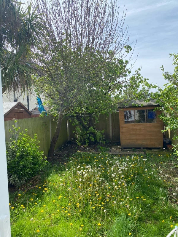 Room Broadview Road in Greater London