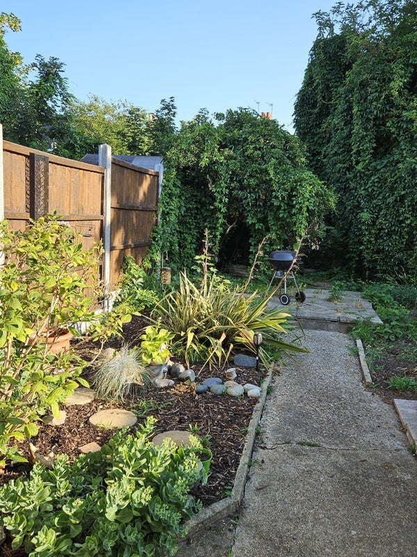Room Mayfield Road in Greater London