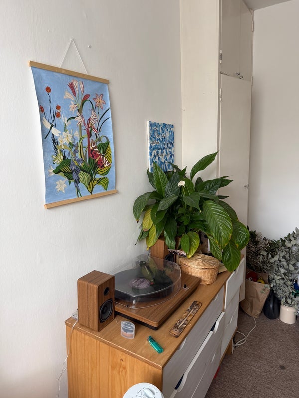 Room Turquand Street in Greater London