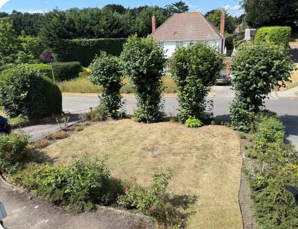 House South Hill in Greater London