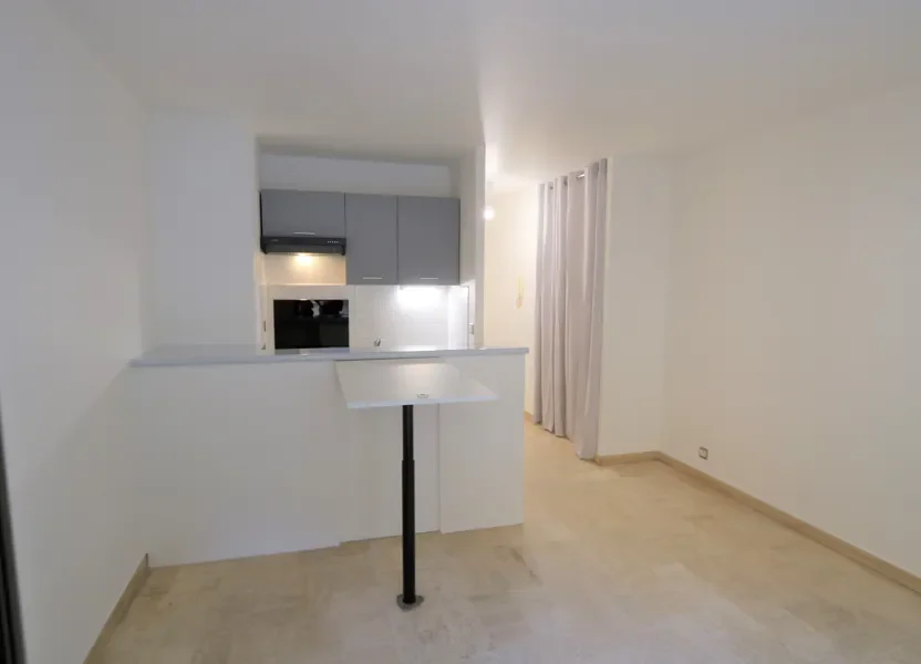 Appartement Allée de la Palmeraie à Nice