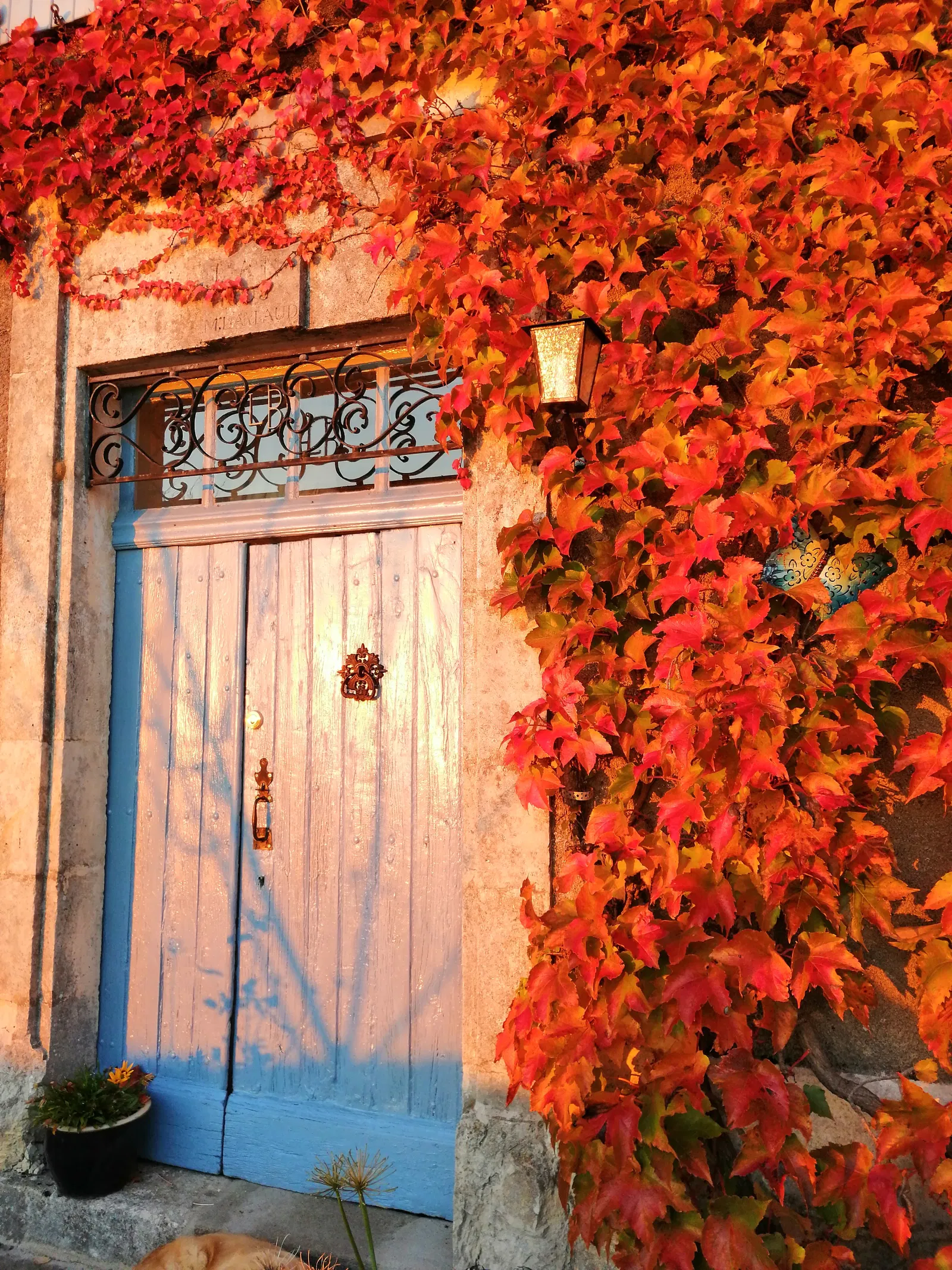 Chambre Rue des Pervenches à Maudeuil