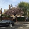 House Loudoun Road in City of Westminster